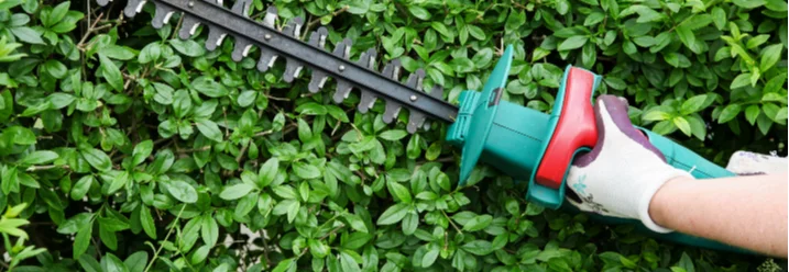 Person schneidet Hecke mit Heckenschere